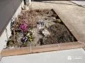 外構にやわらかさを添える植栽スペース