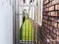 人工芝で整える庭と犬走り