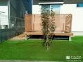 シマトネリコと人工芝を施工しお庭空間に緑をプラスした工事
