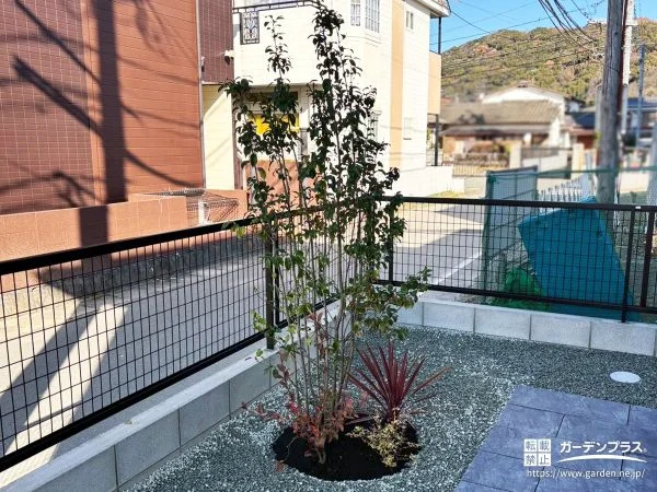 玄関周りの視線をさりげなくカットする目隠し用の植栽