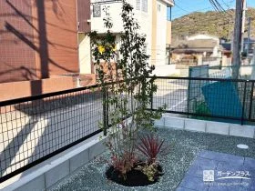 玄関周りの視線をさりげなくカットする目隠し用の植栽