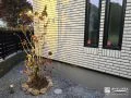 植栽を照らすスポットライト