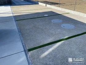 洗い出しと人工芝で表情をつくるアプローチ[施工後]