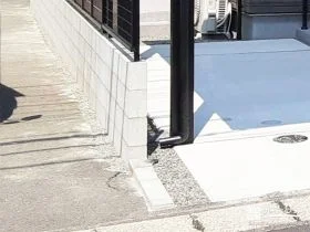 擦りリスクを回避する「1メートルのゆとり」[施工後]