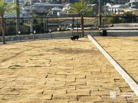 天然芝でのびのび遊べるドッグラン空間[施工後]