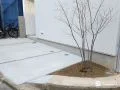 すっきりデザインの駐車スペースに植栽がアクセントを加える工事