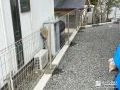 軽やかなデザインのメッシュフェンス