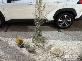植栽が引き立つ植栽スペース[施工後]