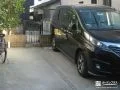 可愛らしいピンコロ目地