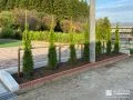 外構に緑をプラスする植栽