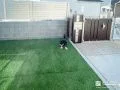 緑豊かな人工芝でワンちゃんがのびのび遊べるお庭づくり工事