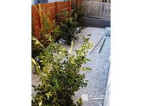 雑草対策と景観を両立した砂利＋植栽[施工後]