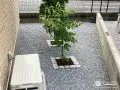 植栽の足元をピンコロ石で囲んでアクセントをプラスした工事