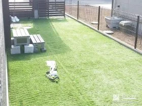 人工芝でのびのび遊べるドッグラン空間