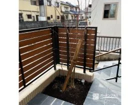 お庭のフォーカルポイントにもなるイロハモミジ