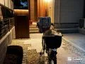 夜の玄関をやさしく包む、光の演出