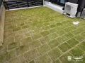 やわらかな天然芝が広がる、遊び心地の良い主庭