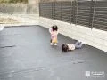 目隠しフェンスと人工芝下地で、安心して遊べるお庭づくり