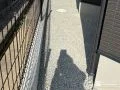圧迫感を与えずに境界を区切った犬走り