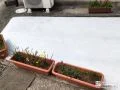 花壇を撤去し空いたスペースを駐車スペースへリフォームした工事