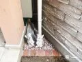 化粧砂利と小物使いで、玄関まわりにさりげない彩りを