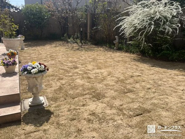 芝生の張り替えと植栽で四季を楽しめるナチュラルなお庭工事