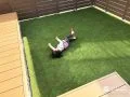 人工芝の庭でお子さまが思いきり遊べるプライベート空間に