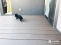 人工木ウッドデッキでつなぐ、愛犬とくつろげる庭時間