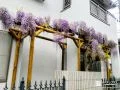 趣ある藤棚がアクセントとなり建物を彩ったリフォーム工事