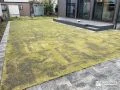 四季の変化を楽しめる天然芝とインターロッキングのお庭工事