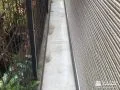 犬走りの雑草対策