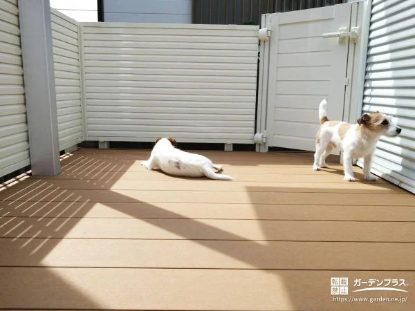 小型犬でも安心して過ごせるドッグランへのリフォーム工事