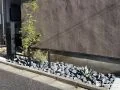 シックなグレーの割栗石と植栽が映えるモダンな門周り工事