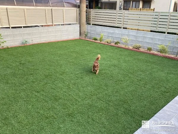 広々とした人工芝敷きを施し愛犬がのびのび遊べるお庭工事