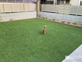 広々とした人工芝敷きを施し愛犬がのびのび遊べるお庭工事