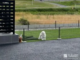 ワンちゃんが安心して遊べるドッグラン[施工後]