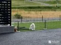 ワンちゃんが安心して遊べるドッグラン