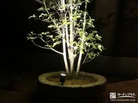 夜間の植栽を美しくライトアップ[施工後]
