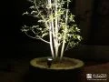 夜間の植栽を美しくライトアップ