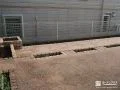 ピンコロ石の植栽スペース
