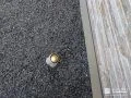 昼間のお庭にも馴染むデザインの照明