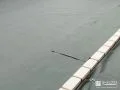雑草対策の第一歩!防草シートでお手入れしやすいお庭へ工事