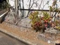 手間を減らして景観維持の両立を叶える犬走りの雑草対策工事