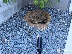 植栽をライトアップして美しく演出する照明[施工後]