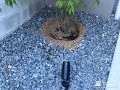 植栽をライトアップして美しく演出する照明