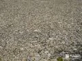 土間コンクリートの洗い出し仕上げ 土間コンクリートの洗い出し仕上げ