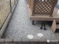 砂利で防犯性を向上しながら雑草対策
