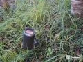 植栽のライトアップに使用するコンパクトな屋外照明