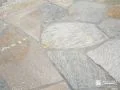 ゴールデンイエローが華やかな乱形石