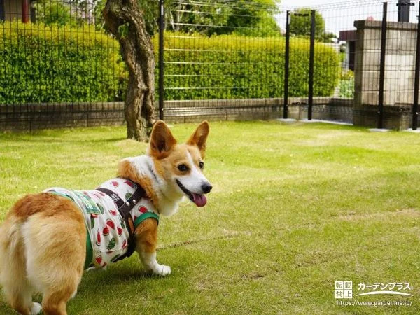 No.30178 愛犬との暮らしがより豊かになるお庭ドッグラン工事[施工後]